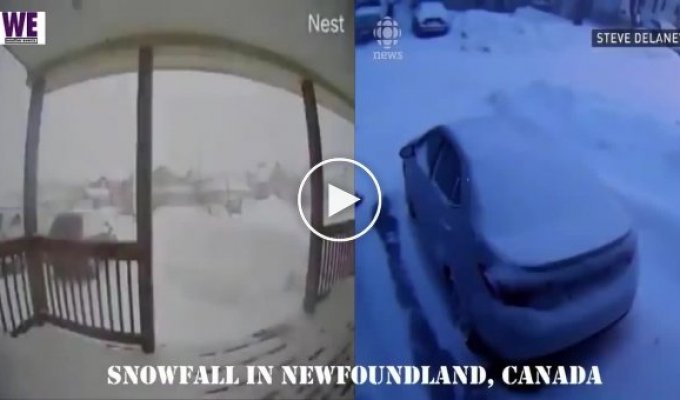 Сутки накрывшего Канаду снегопада за 30 секунд