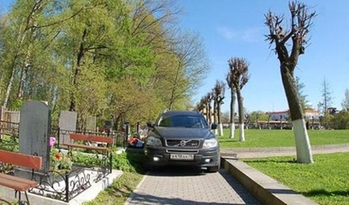 Случай на Серафимовском кладбище в Санкт-Петербурге (2 фото)