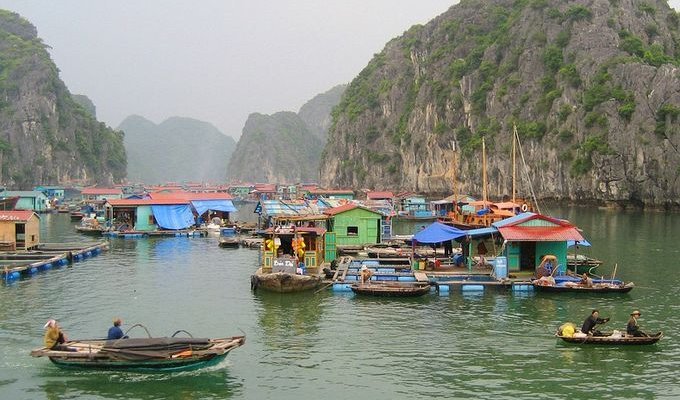 Плавающая деревня близ острова Катба, Вьетнам (11 фото)