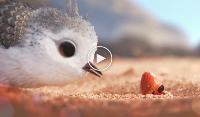 Новый потрясающий короткометражный анимационный фильм от Disney и Pixar