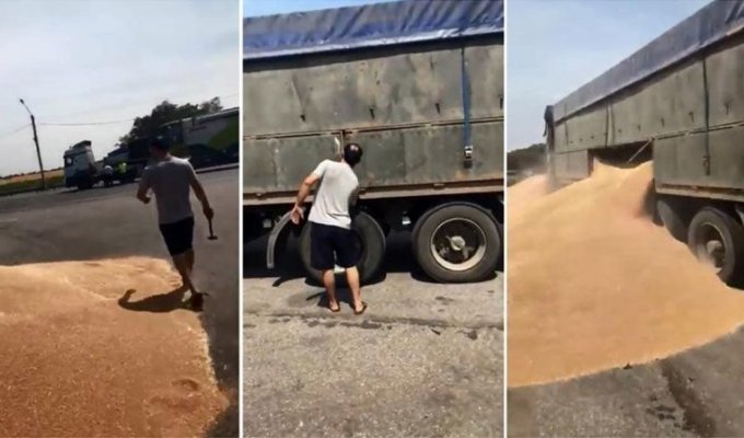 Водитель зерновоза отказался платить полицейским и назло высыпал груз прямо на дорогу (1 фото + 2 видео)