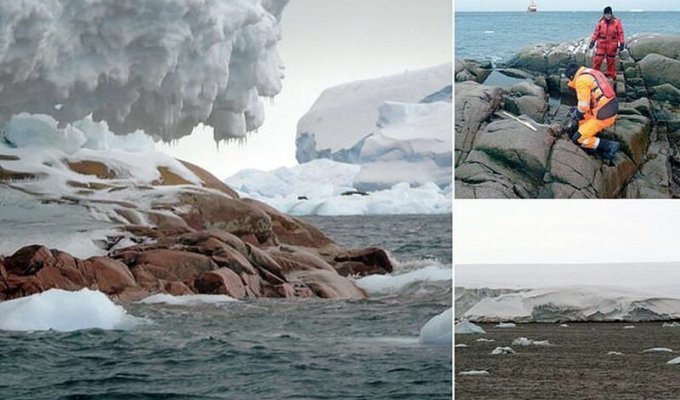 У берегов Антарктиды нашли новый остров (5 фото)