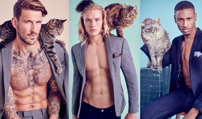 Сексуальные мужчины и пушистые коты стали героями новой рекламы одежды (6 фото)