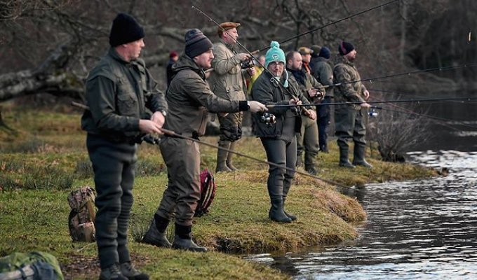 В Шотландии открылся сезон ловли лосося. Фоторепортаж (18 фото)