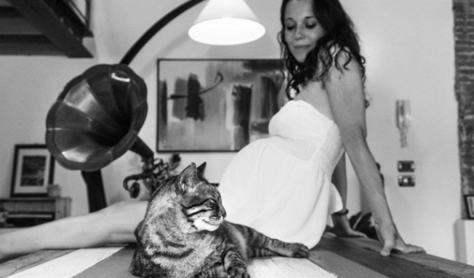 Фотограф развеивает предубеждения беременных к кошкам (13 фото)