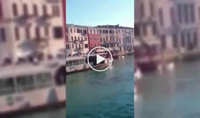 В Большом канале Венеции утонул беженец из Гамбии