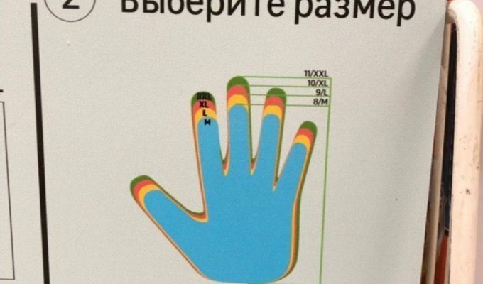 Определяем размер перчаток (2 фото)