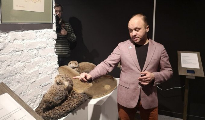 Активист потребовал закрыть выставку со спаривающимися чучелами животных (11 фото)