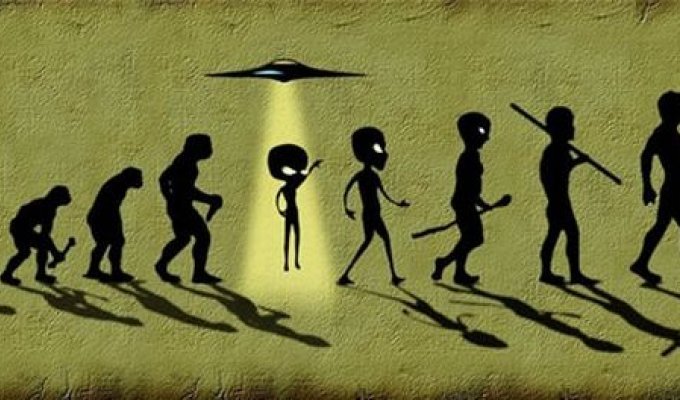 Эволюция человека (16 фото)