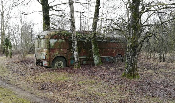 В Литве найден троллейбус МТБ-82Д (25 фото)