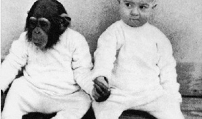 Ребенок и обезьяна (14 фото)
