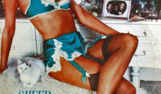 Обложки виниловых пластинок с сексуальными девушками (27 фото)
