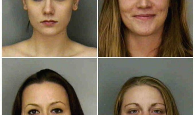 Очередные американские проститутки-"красавицы" (7 картинок, 28 фото)