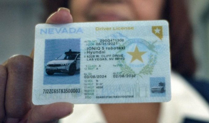 В США автомобиль сдал экзамен и получил водительское удостоверение (2 фото + 1 видео)