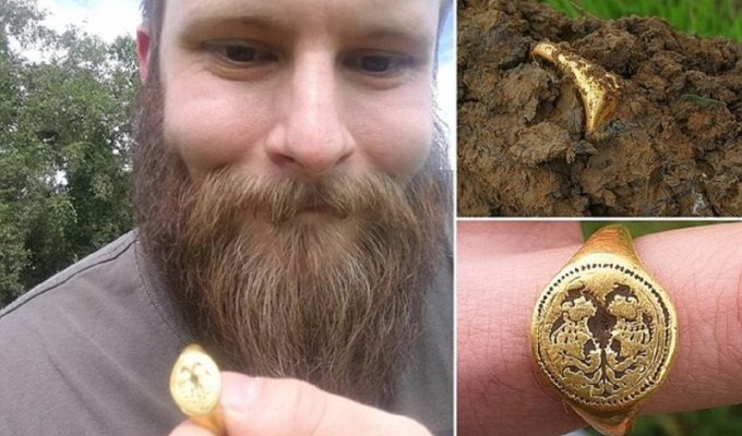 Любитель-кладоискатель откопал кольцо за $15 000 (5 фото)