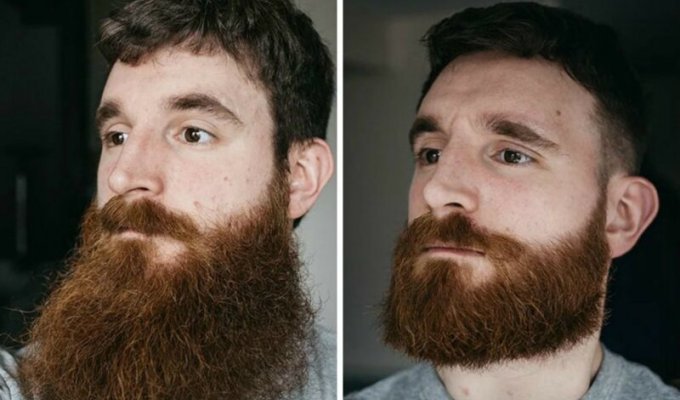 Когда узнал, что за бородой можно ухаживать: 50 примеров "до и после" (51 фото)