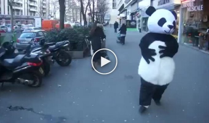 Панда Кунг-Фу на улицах