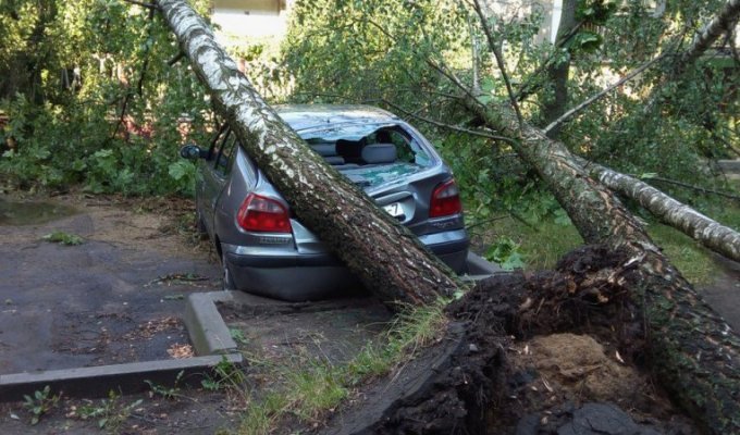 Автомобили, пострадавшие от урагана в Минске (23 фото)