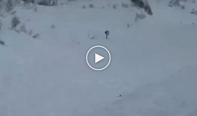 Лыжный фейл в Сочи