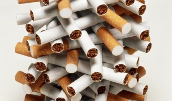 10 фактов о курении (10 фото)