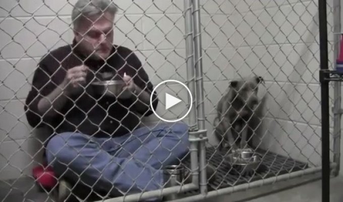 Ветеринар позавтракал в клетке с испуганной и брошенной собакой чтобы успокоить её