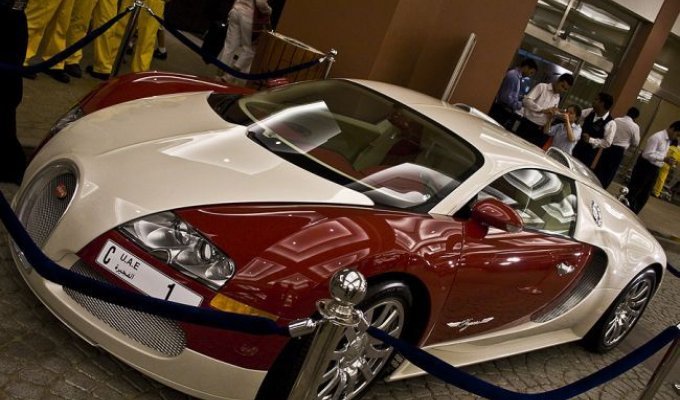 Эксклюзивный Bugatti Veyron (29 фото)