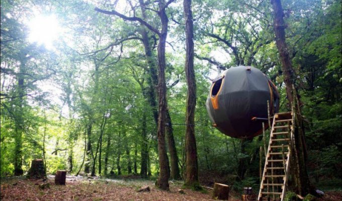 Палатка-шар для подвешивания на деревья (7 фото)