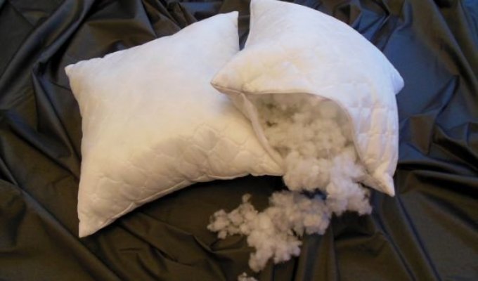 А вы знаете, из чего делают одеяла и подушки? (12 фото)