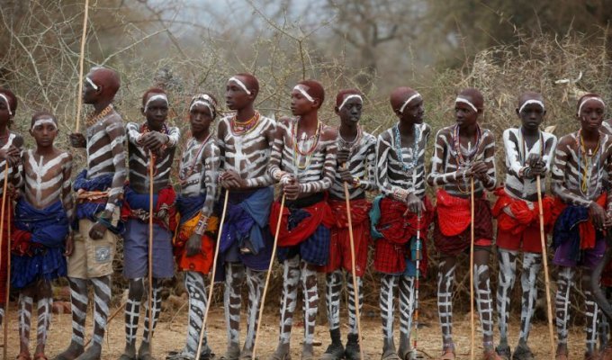 Мальчиков племени масаи посвящают в мужчины (22 фото)