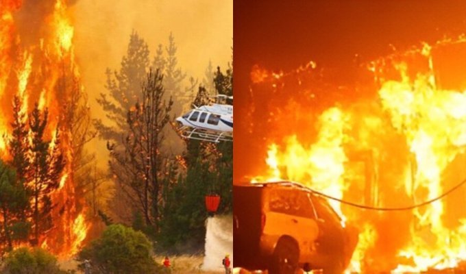 Катастрофические лесные пожары охватили Чили (1 фото + 4 видео)