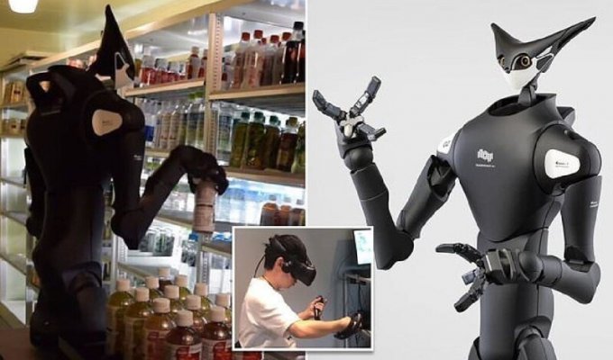 В японских супермаркетах появятся двухметровые роботы-грузчики (4 фото)