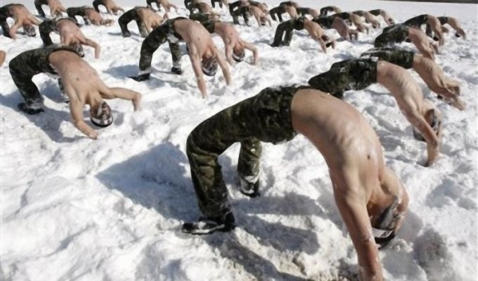 Ежегодные зимние военные учения в Южной Корее (14 фото)