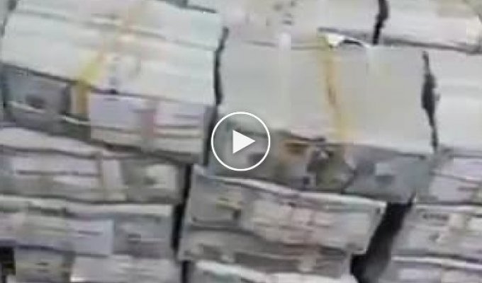 У свергнутого диктатора Судана нашли 684 миллиона долларов наличными