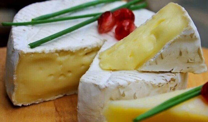 Черви, плесень, запах: 5 самых гадких и дорогих сыров в мире (6 фото)