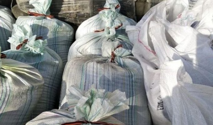 В Алтайске рабочие перевязали мусорные мешки георгиевскими лентами - СК проводит проверку (фото + видео)