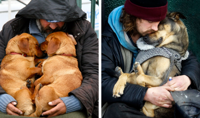 45 фотографий, доказывающих, что собаки любят нас бескорыстно (45 фото)