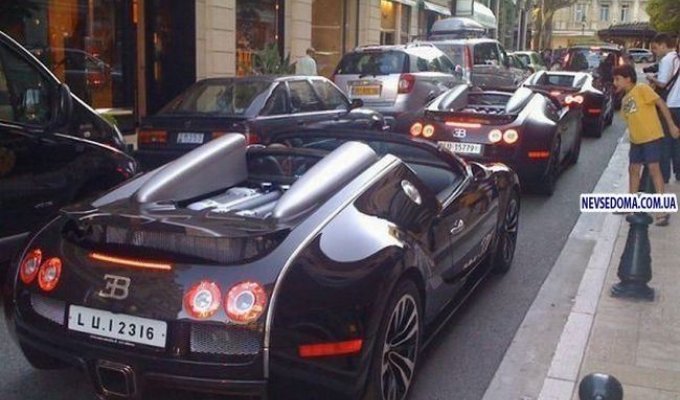 Трио из Bugatti Veyron (5 фото)