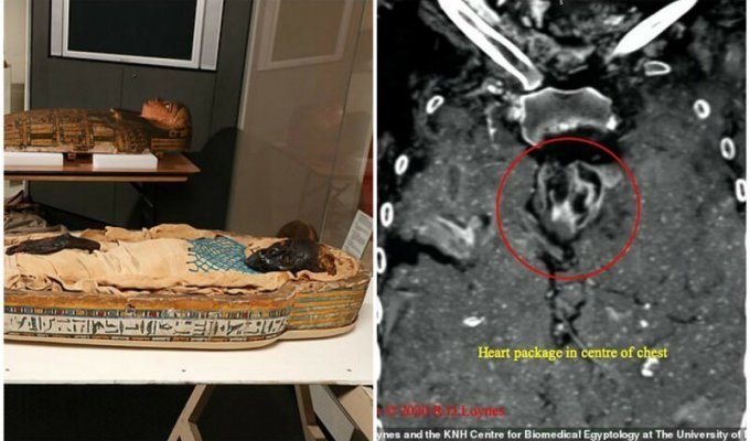 Ударили в спину: ученые выяснили причину смерти египтянки, жившей 2600 лет назад (8 фото)
