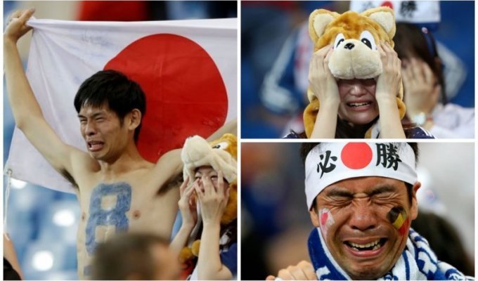 "Эмоциональные качели" японских болельщиков на матче Бельгия — Япония (15 фото)