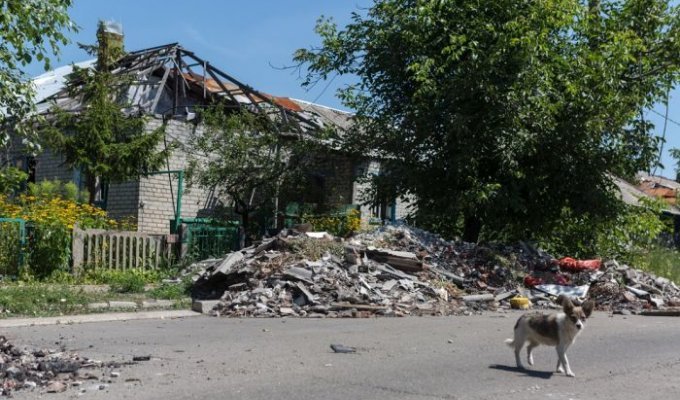 Другая сторона Донецка (30 фото)