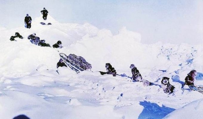 Антарктида в 1915 году (19 фотографий)