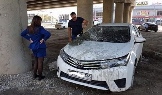 В Волгограде неправильно припаркованный автомобиль прокурора случайно залили бетоном (3 фото)