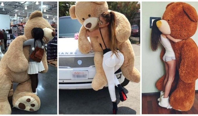 9 причин почему девушки любят огромных плюшевых медведей (20 фото)