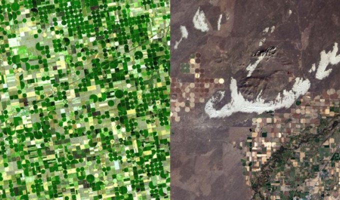 Удивительные узоры – фотографии полей, сделанные из космоса (12 фото)