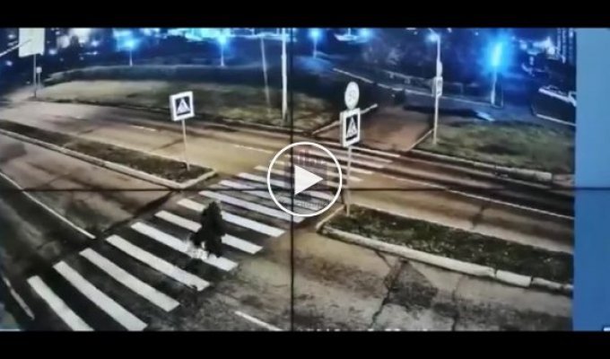 Автомобилистка сбила пенсионера с собакой в Красноярском крае