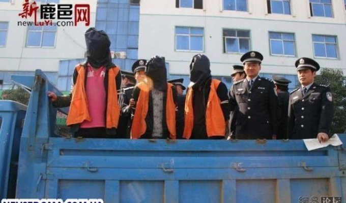 Как в Китае борятся с организованной преступностью (20 фото)
