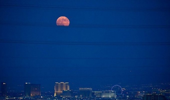Земляне наблюдали за красной Луной (45 фото)