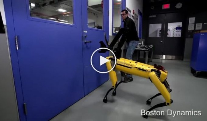 Инженеры из Boston Dynamics продолжают издеваться над роботами