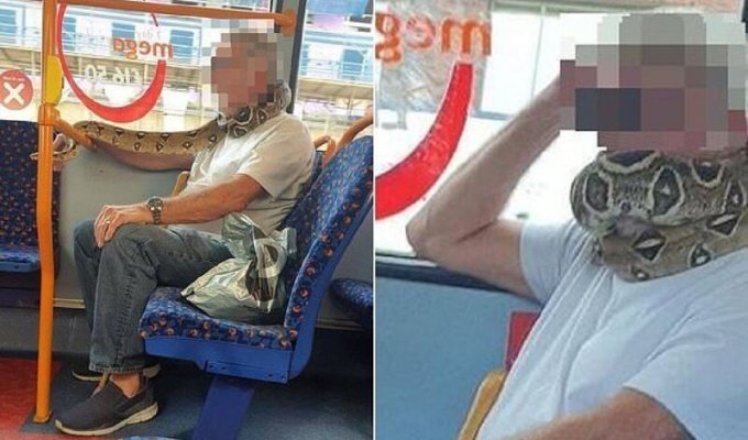 Мужчина проехался в автобусе с огромной змеей на шее (4 фото)