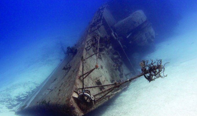 Затонувшие корабли (12 фото)